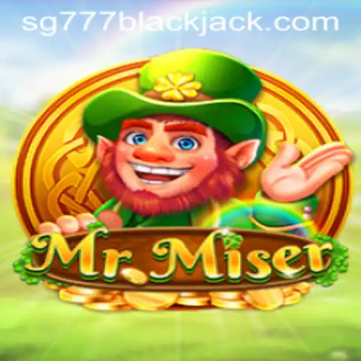 Unveiling the Game MrMiser